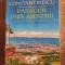 Pasager prin amintiri- Codrut Constantinescu