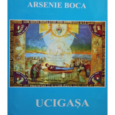 Arsenie Boca - Ucigasa cetate (editia 2002)