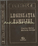 Legislatia Familiei - Flavius A. Balas, Marieta Avram
