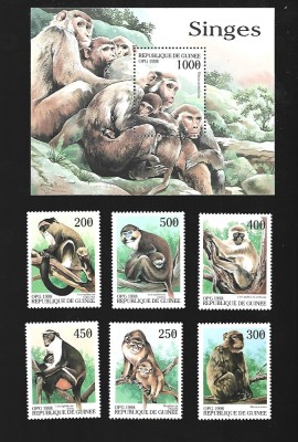 guinee maimute mnh foto