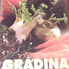 GRADINA NOASTRA DE LEGUME