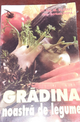 GRADINA NOASTRA DE LEGUME foto