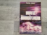 Drumul invingatorilor de Pavel Corut