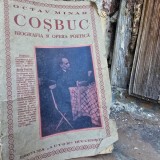 Cosbuc biografia si opera poetica - Octav Minar