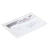 Mapa cu capsa 241 x 354 5 buc set Rapesco