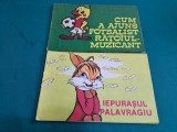 LOT 2 CĂRȚI POVEȘTI COPII: IEPURAȘUL PALVRAGIU*CUM A AJUNS FOTBALIST RĂȚOIUL*34