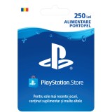 Card PlayStation Network Dual 250 RON