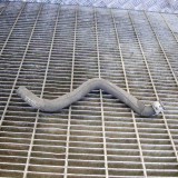 Furtun de lichid de răcire MERCEDES-BENZ E W212 2014 OEM: A2125015782 11224944