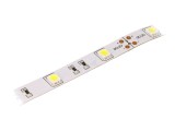 Bandă LED Alb Rece 12V 30 LED/m IP20