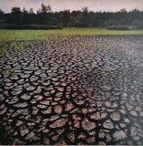 Bossa Brasilia Band &lrm;&ndash; Bossa Brasilia Band _ NM / VG+ vinil, LP, disc muzica latino, bossanova _ Capi Lux, Olanda, 1978