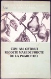 CUM AM OBTINUT RECOLTE MARI DE FRUCTE DE LA POMII PITICI-BERCZI ENDRE-347695
