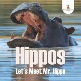 Hippos - Let&#039;s Meet Mr. Hippo
