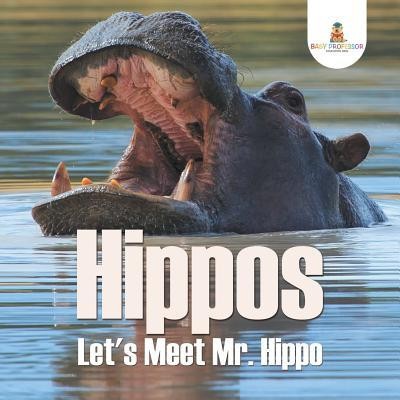 Hippos - Let&#039;s Meet Mr. Hippo