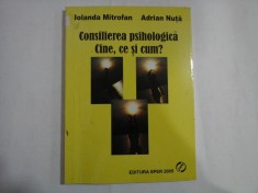 Consilierea psihologica. Cine, ce si cum? (repere pentru formarea experientiala) - Iolanda MITROFAN * Adrian NUTA