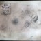 JOTIE T&#039;HOOFT: PEISAJ STRIDENT(POEME 1981/TRAD.GH.TOMOZEI/PLANSE VIOREL POPESCU)