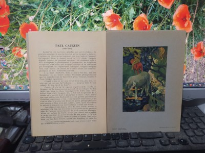 Paul Gauguin mapă, text Anatole Jakovsky, Les editions Braun, Paris, c. 1920 142 foto