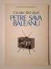 Constantin Paraschivescu - Cavaler fără iluzii: Petre Sava Băleanu (Galeria teatrului rom&acirc;nesc)