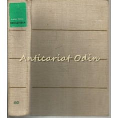 Renasterea - Andrei Otetea