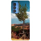Husa compatibila cu Motorola G20 model Green Leafed Tree, Silicon, TPU, Viceversa, Transparent, Carcasa