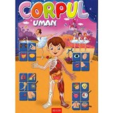 Corpul uman | Alexandru Andrei