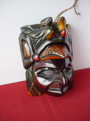 MASCA AFRICANA foto