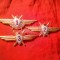 Set 3 Insigne Militare URSS - Fortele Aeriene Militare Sovietice cca.1966 - Pilot Militar - Clasele:1,2,3 , metal si email , L=7,3cm