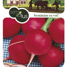 Seminte de ridichi de luna Cherry Belle 5 grame SemPlus