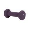 Gantera pentru antrenament Fitness, 1 kg, Mov, ATU-086152, Oem