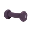 Gantera pentru antrenament Fitness, 1 kg, Mov, ATU-086152