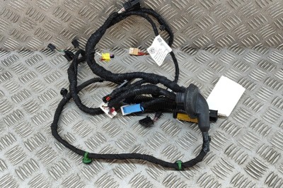 Cablaj ușă st&amp;acirc;nga față VW ID.3 E11 2023 OEM: 10A970401 25433816 foto