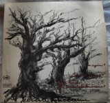 Cumpara ieftin DISC LP RCM: FELICIA DONCEANU-IMAGINI/EMINESCIANA/CANTAND CU IENACHITA VACARESCU