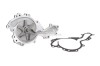 Pompa apa RENAULT VEL SATIS (BJ0) (2002 - 2016) THERMOTEC D1R045TT