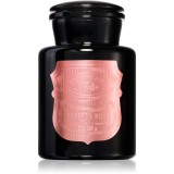Paddywax Apothecary Noir Saffron Rose lum&acirc;nare parfumată 226 g