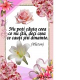 Card magnetic laminat (model 15) - Nu poti cauta ceea ce nu stii, deci ceea ce cauti stii dinainte (Platon)