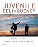 Juvenile Delinquency 7th Edition