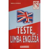 TESTE DE LIMBA ENGLEZA-MIRELLA ACSENTE-213719