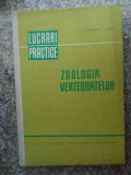Zoolofia Vertebratelor - Z. Matic, M. Teodoreanu ,534289