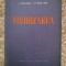 Fluidizarea - L. Esayan, M. Esayan , B9