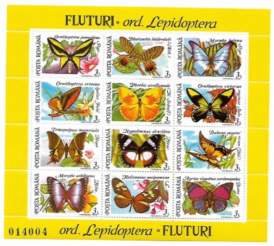 Romania (32) - Fluturi, 1991, 2 blocuri neobliterate si 2 FDC foto