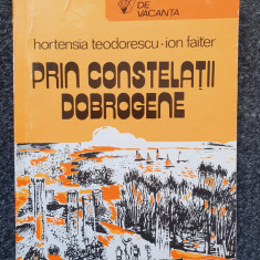 PRIN CONSTELATII DOBROGENE - Teodorescu, Faiter