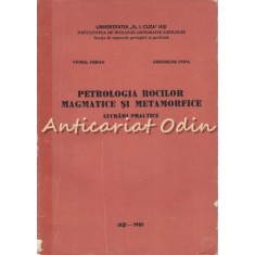 Petrologia Rocilor Magmatice Si Metamorfice. Lucrari Practice - V. Erhan