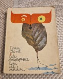Cele Douasprezece Luni ale Visului - Iordan Chimet, Editura Ion Creanga 1972, Carte Povesti Copii