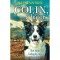 Colin, a b&aacute;tor - K&eacute;t bar&aacute;t kalandos &uacute;tja hazafel&eacute; - Megan Rix