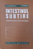 Intestinul subtire. Fiziopatologie, clinica, tratament - B. Gheorghescu, D. Rebedea