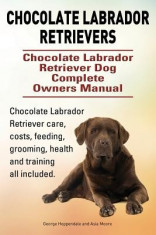 Chocolate Labrador Retrievers. Chocolate Labrador Retriever Dog Complete Owners Manual. Chocolate Labrador Retriever Care, Costs, Feeding, Grooming, H foto