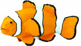 Figurina - Clown Anemonefish | Safari