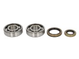 Cumpara ieftin Lagare cu arbore cotit set cu garnituri pentru GAS GAS EC, MC 125 2003-2010