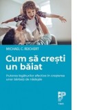 Cum sa cresti un baiat. Puterea legaturilor afective in cresterea unor barbati de nadejde - Liana Haidar, Cristina Firoiu, Michael C. Reichert