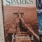 Nicholas Sparks - Miracolul