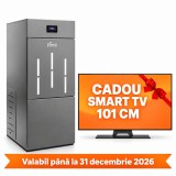 Centrala pe peleti Ferroli Biopellet PRO 35 kW, otel, pompa circulatie, vas expansiune, randament 96%